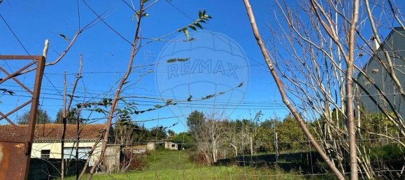 1240m² Land in Coimbra, Portugal No. 86514 3