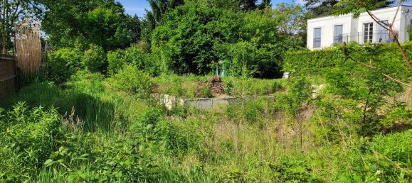  قطعة أرض في Potsdam-Mittelmark, Germany رقم 335411 3