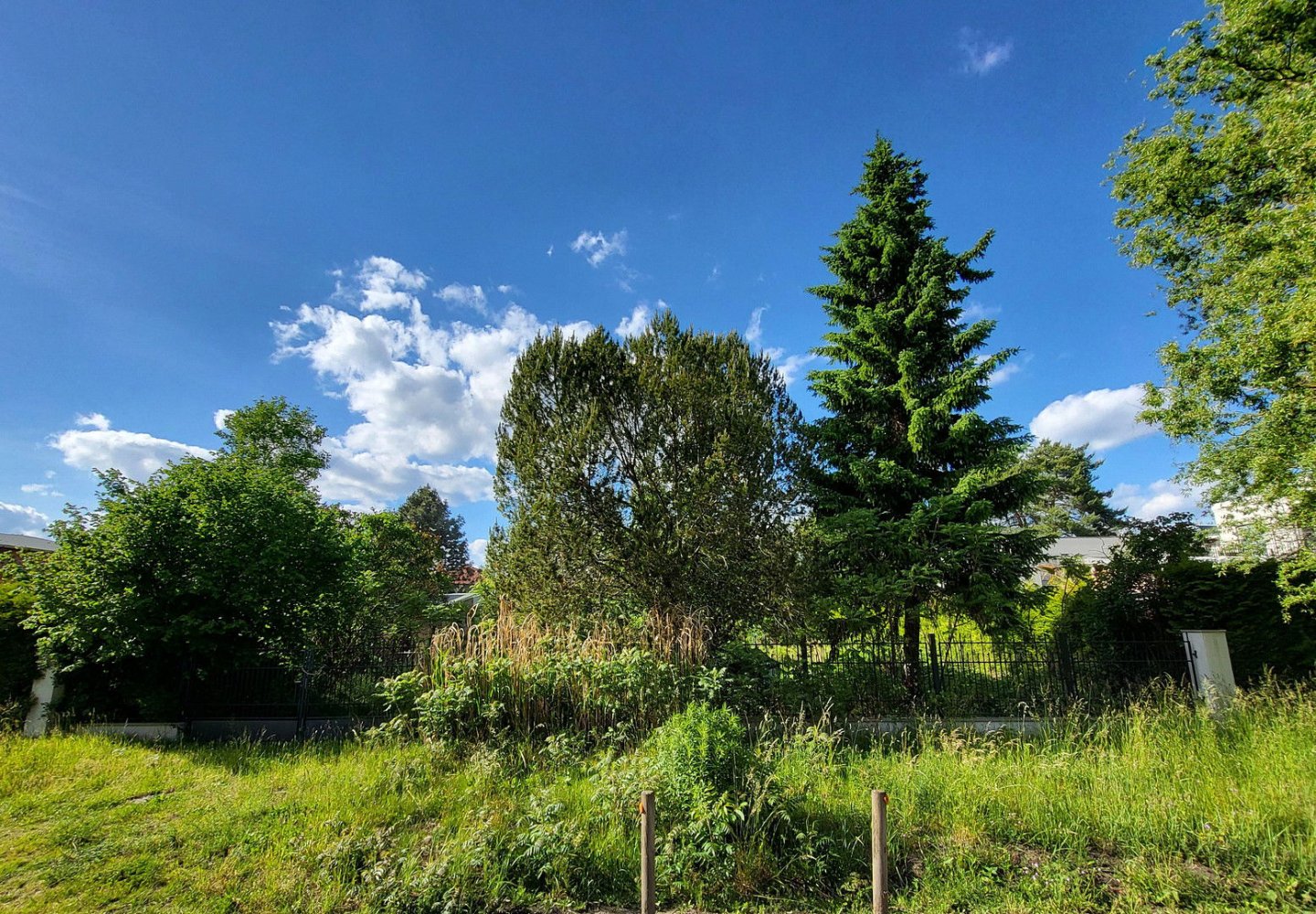  قطعة أرض في Potsdam-Mittelmark, Germany رقم 335411