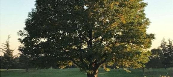 1 غرف نوم شقة في Solbiate Olona, Italy رقم 151767 9