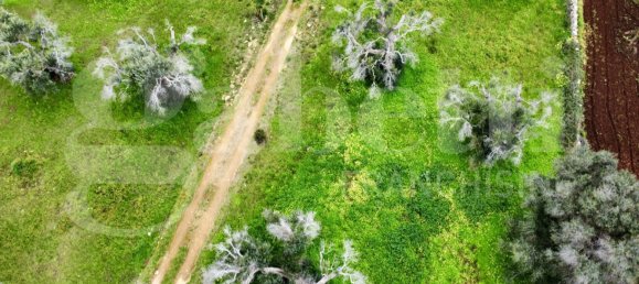 5 Schlafzimmer Villa in San Vito dei Normanni, Italy, Nr. 128582 18