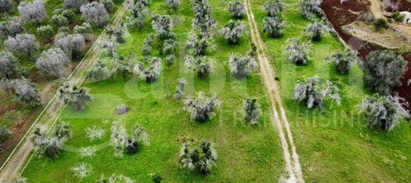 5 Schlafzimmer Villa in San Vito dei Normanni, Italy, Nr. 128582 20