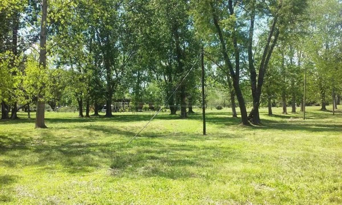 Grundstück in Tigre, Argentina, Nr. 47059