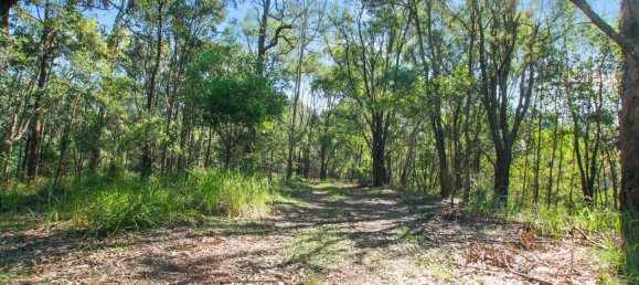 268600m² Land in Maudsland, Australia No. 760 24