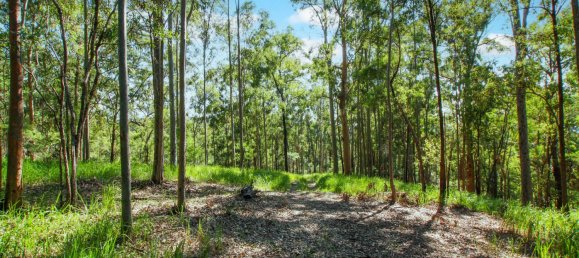 268600m² Land in Maudsland, Australia No. 760 16
