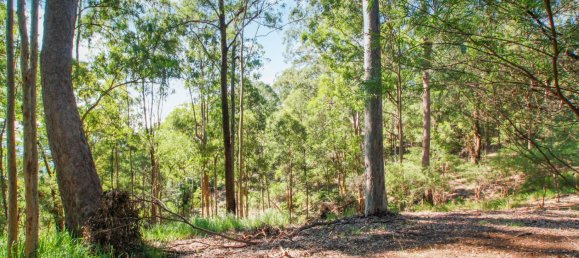 268600m² Land in Maudsland, Australia No. 760 14