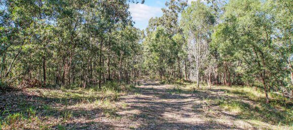 268600m² Land in Maudsland, Australia No. 760 20