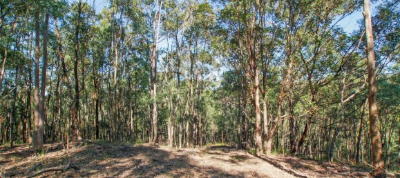 268600m² Land in Maudsland, Australia No. 760 19