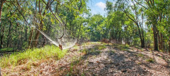 268600m² Land in Maudsland, Australia No. 760 21