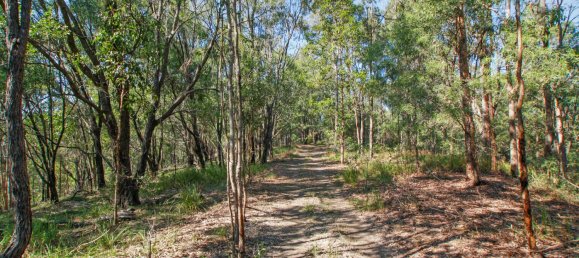 268600m² Land in Maudsland, Australia No. 760 22