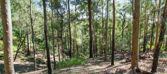 268600m² Land in Maudsland, Australia No. 760 15