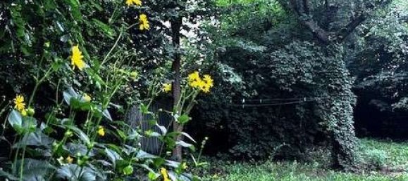 Land in Lichterfelde, Germany No. 364201 7