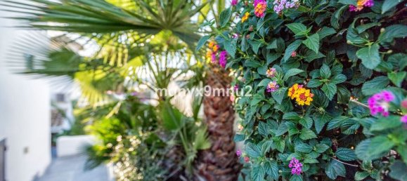 5 غرف نوم فيلا في Mijas, Spain رقم 186095 6