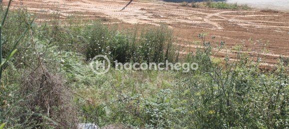 Земельный участок 561м² в Барселуш, Португалия № 34596 3