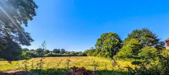 Land in Schleswig-Flensburg, Germany No. 102338 3