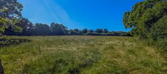 Land in Schleswig-Flensburg, Germany No. 102338 2