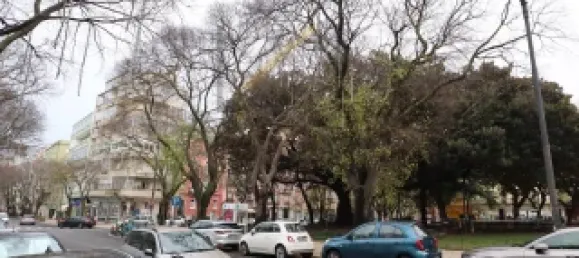 1 bedroom Apartment in Lisbon, Portugal No. 153028 18