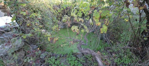 3 bedrooms House in Mouriscas, Portugal No. 171981 23