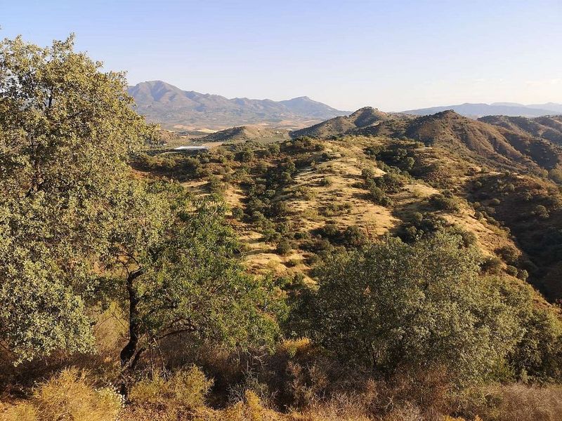 Земельный участок 42000м² в Коин, Испания № 222606