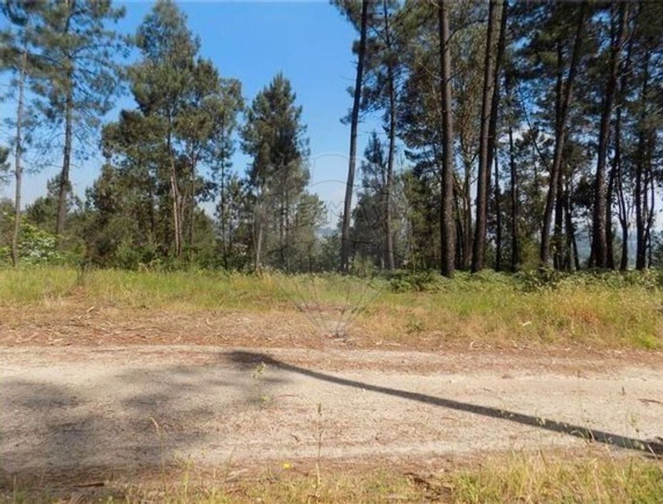 Grundstück in Amarante, Portugal 7050m², Nr. 45260