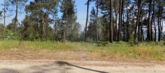 Grundstück in Amarante, Portugal 7050m², Nr. 45260 3