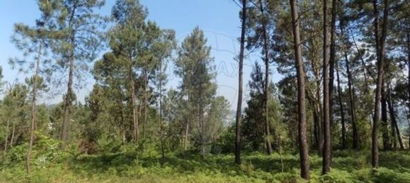 Grundstück in Amarante, Portugal 7050m², Nr. 45260 2