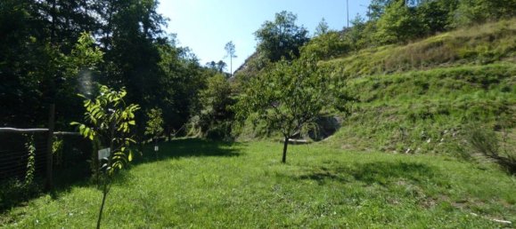 5-Zimmer Gebäude in Carro, Italy, Nr. 293378 36