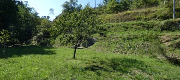 5-Zimmer Gebäude in Carro, Italy, Nr. 293378 32