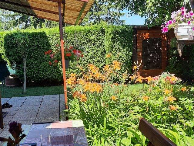 4-salle Maison à Vosendorf, Austria No. 198322