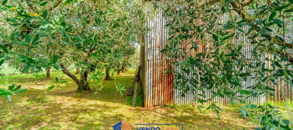 700m² Land in Massa, Italy No. 325829 7