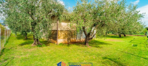 700m² Land in Massa, Italy No. 325829 5