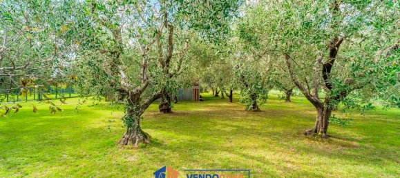 700m² Land in Massa, Italy No. 325829 6