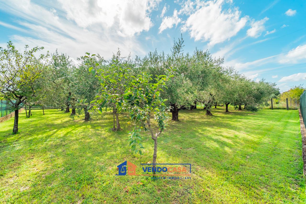 700m² Land in Massa, Italy No. 325829