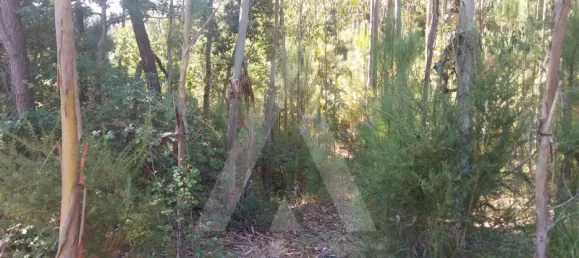 Land in Oia, Portugal No. 93214 4