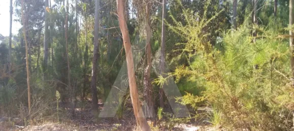 Land in Oia, Portugal No. 93214 3