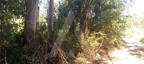 Land in Oia, Portugal No. 93214 5