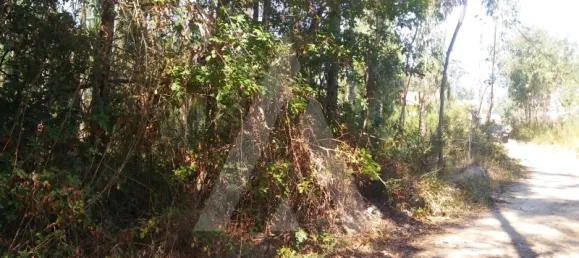 Land in Oia, Portugal No. 93214 6