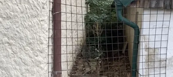 2 rooms House in Neudorf im Weinviertel, Austria No. 239158 27