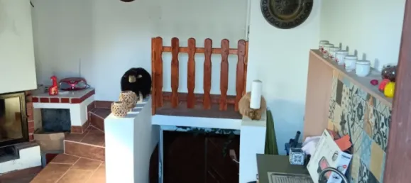 2 rooms House in Neudorf im Weinviertel, Austria No. 239158 12