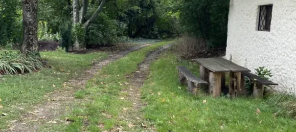 2 rooms House in Neudorf im Weinviertel, Austria No. 239158 3