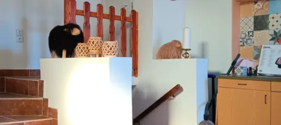 2 rooms House in Neudorf im Weinviertel, Austria No. 239158 11