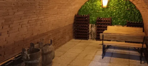 2 rooms House in Neudorf im Weinviertel, Austria No. 239158 21