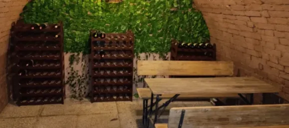 2 rooms House in Neudorf im Weinviertel, Austria No. 239158 20