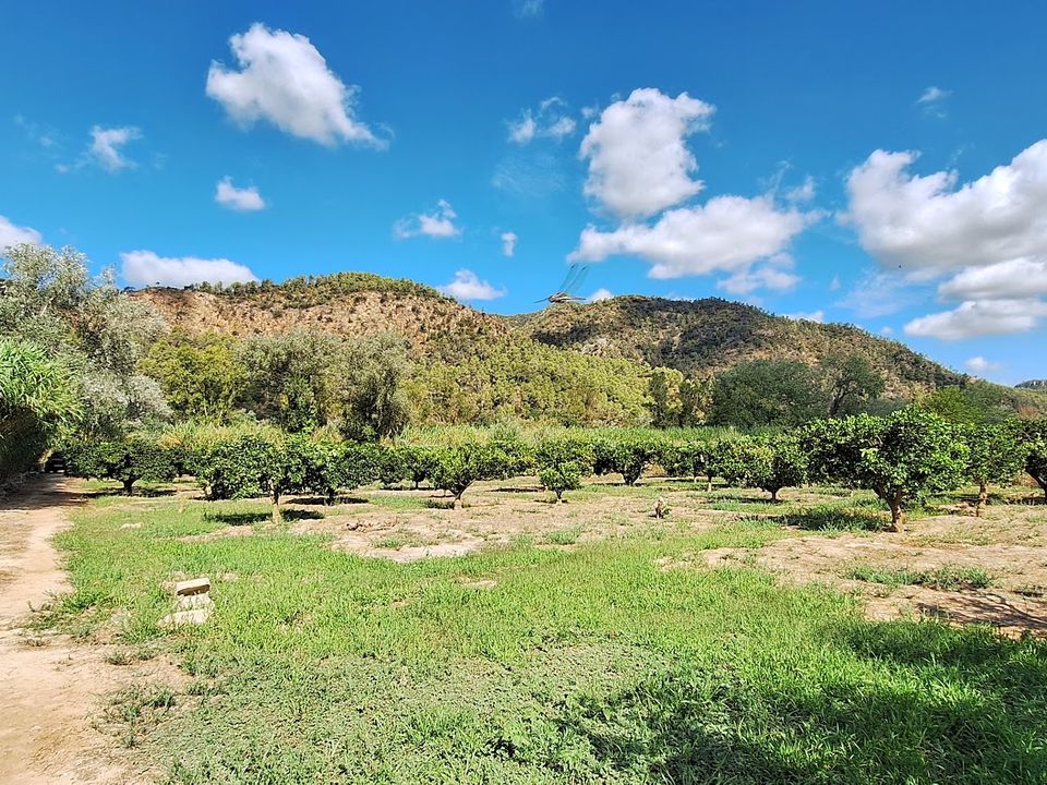 Grundstück in Rasquera, Spain, Nr. 270177