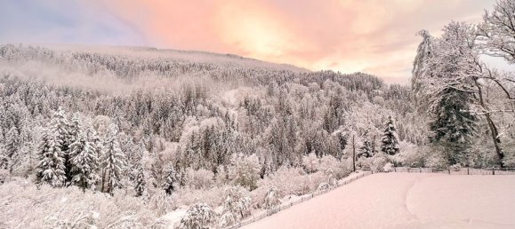 8-salle Hôtel à Arriach, Austria No. 48007 20