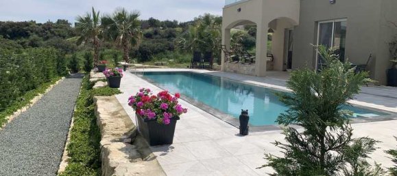 3 غرف نوم عقار تجاري في Foinikaria, Cyprus رقم 19643 7