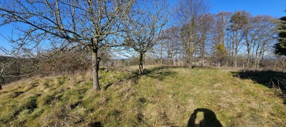 4-salle Maison à Kirchberg an der Raab, Austria No. 27915 29