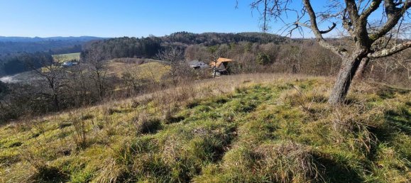 4-salle Maison à Kirchberg an der Raab, Austria No. 27915 28