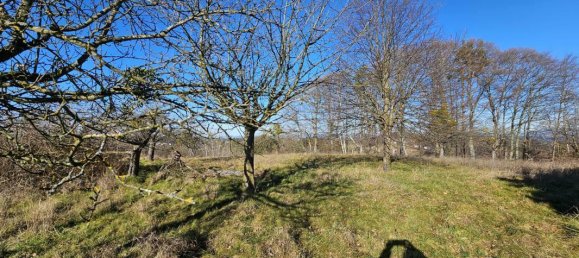 4-salle Maison à Kirchberg an der Raab, Austria No. 27915 31