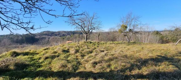 4-salle Maison à Kirchberg an der Raab, Austria No. 27915 30